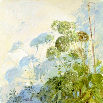 Ombre di Angelica da Timothy Easton